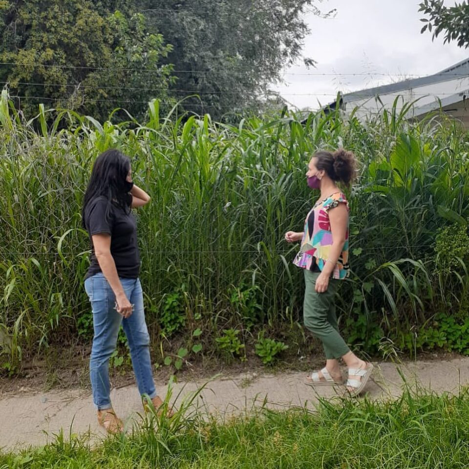 Alta Gracia Crece: "Alacranes y mosquitos listos para el regreso a clase"