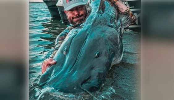 Pescaron un "monstruo" de dos metros en el Río Paraná