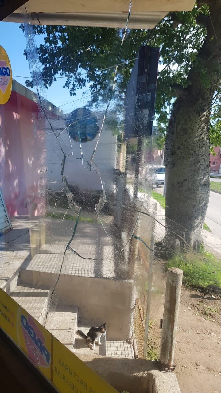 Villa Oviedo: Jóvenes apedrearon dos negocios y una casa