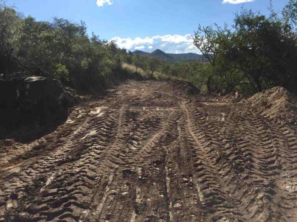 Alertan sobre desmontes irregulares en José de la Quintana