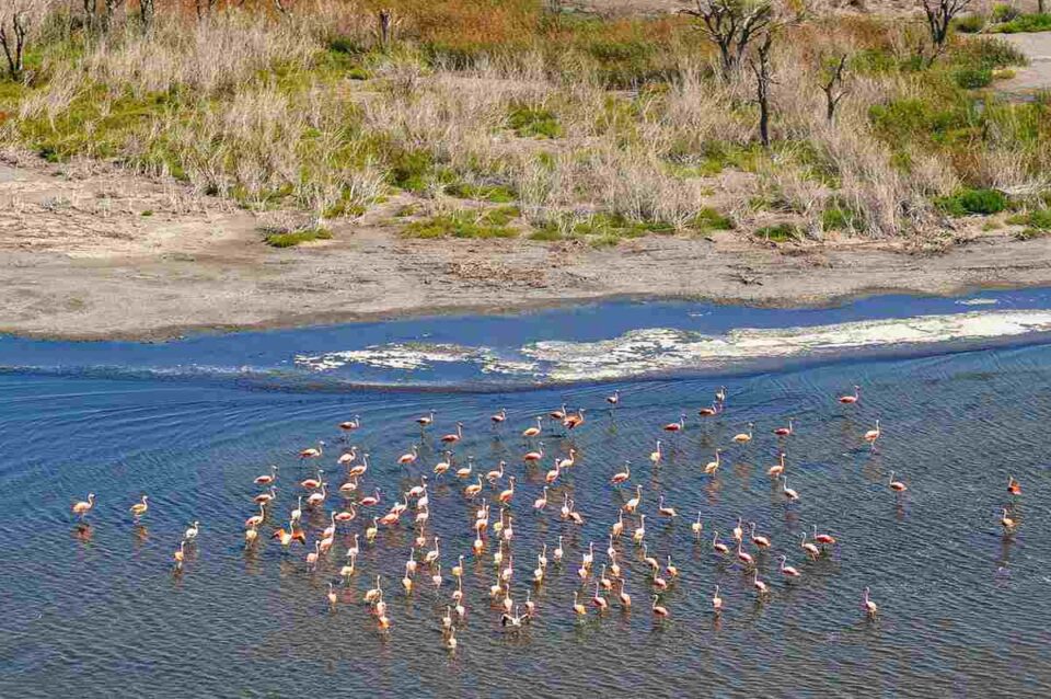 Elevaron informe técnico para la creación del Parque Nacional Ansenuza
