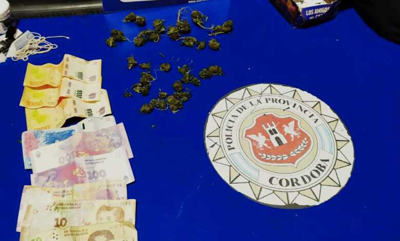 Un joven llevaba 33 cogollos de marihuana y quedó detenido