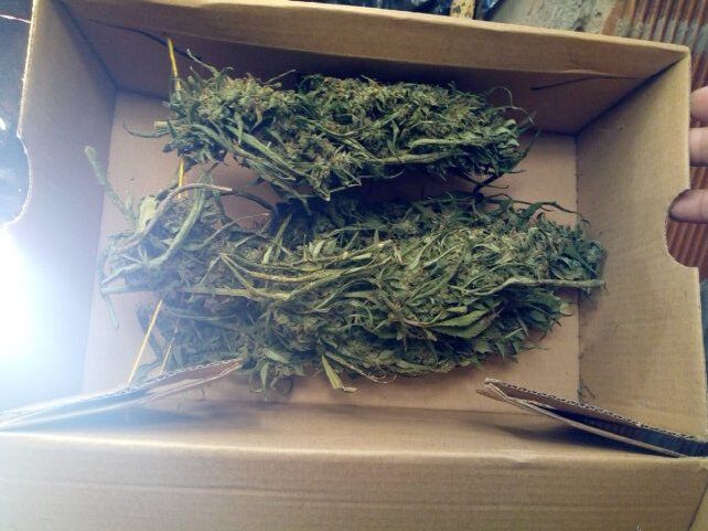 Malagueño: Tenía marihuana y fue arrestado