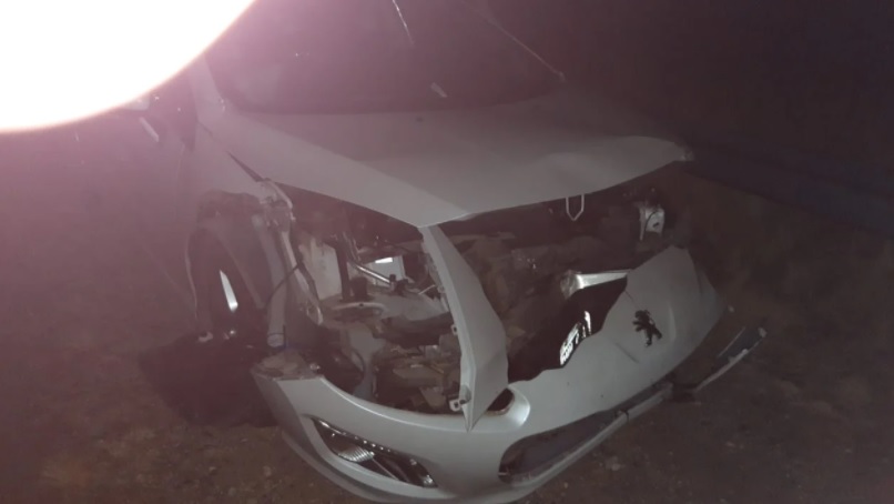 Una familia terminó con el auto destrozado tras chocar contra un jabalí