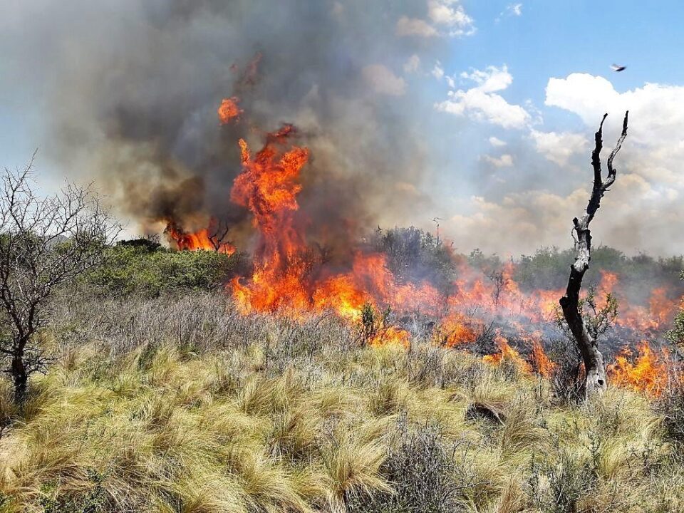 Contienen dos incendios intencionales y combaten un tercer foco en La Calera