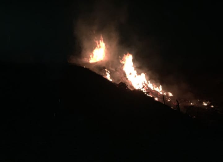 Controlaron un nuevo incendio en el deposito de ramas en Los Aromos