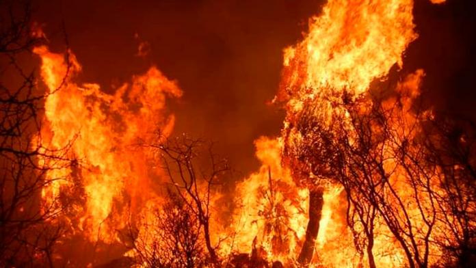Gran incendio en Salsipuedes: 93 personas fueron evacuadas del lugar