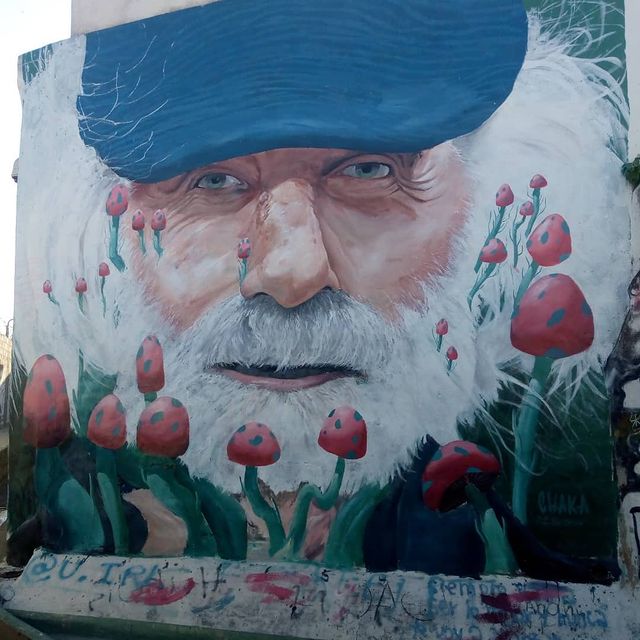 Inmortalizaron a Pepe en un mural en la ciudad