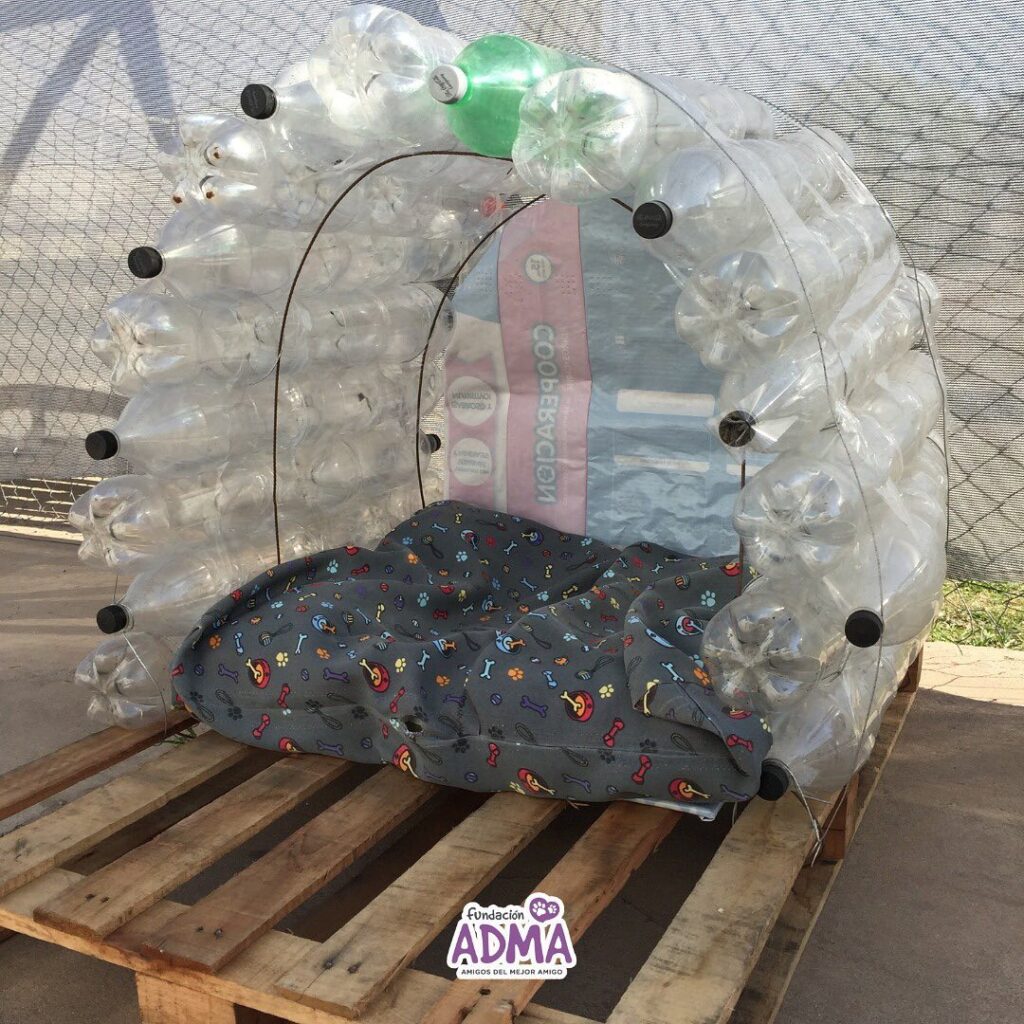 Fundación ADMA: exitosa jornada de reciclado y salud animal