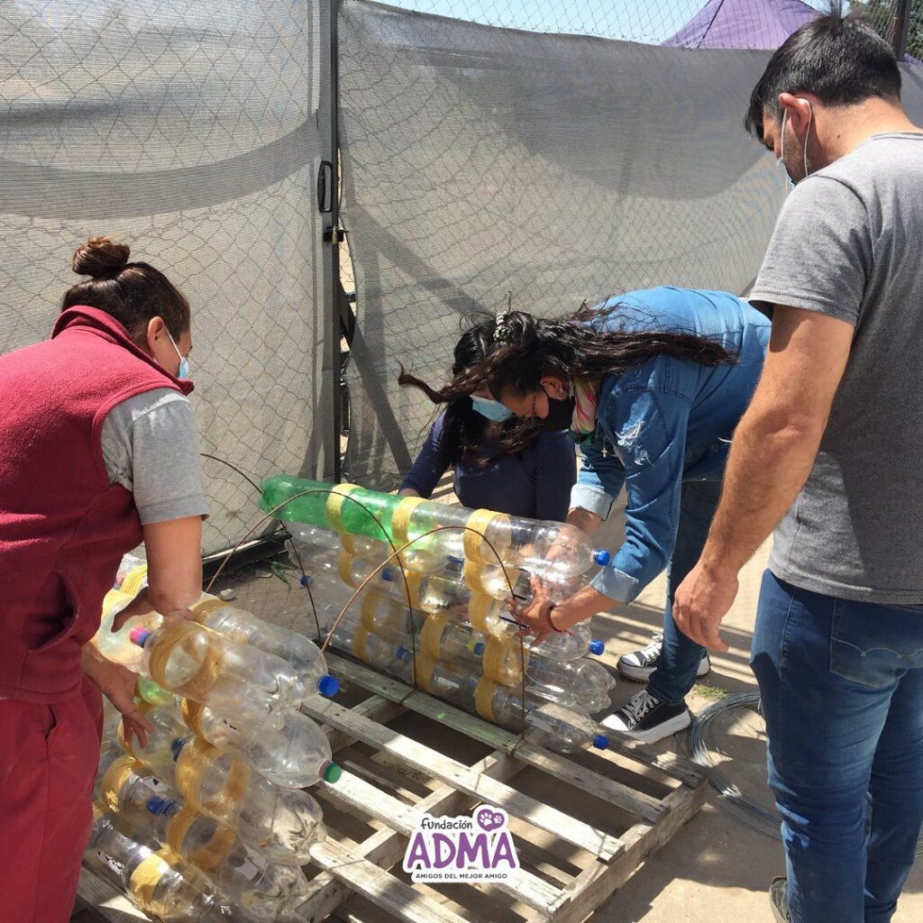 Fundación ADMA: exitosa jornada de reciclado y salud animal