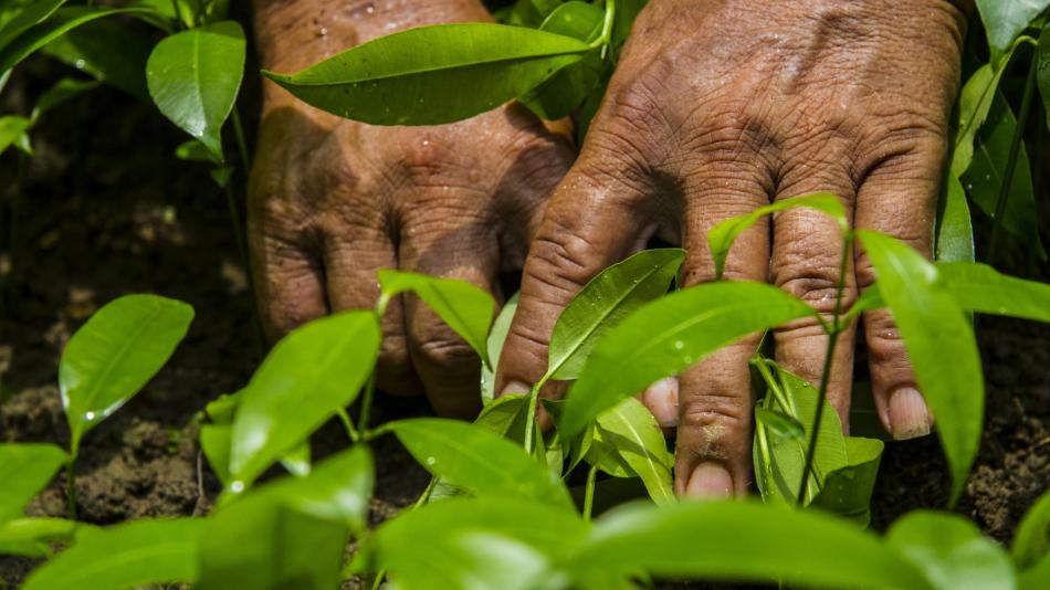 "Doña Silvia" y una conmovedora historia de vida