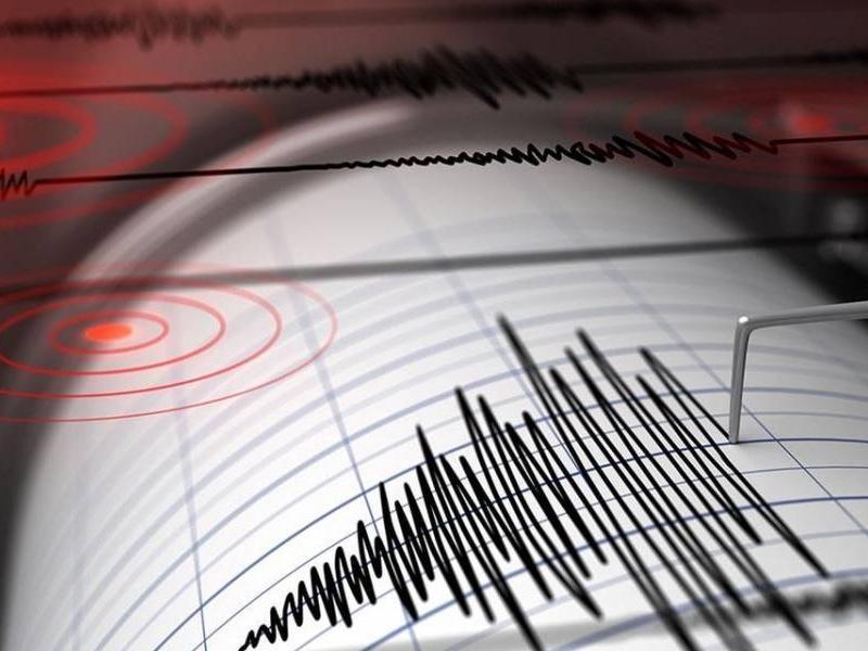 Mendoza y San Juan fueron sacudidas por un fuerte temblor esta madrugada