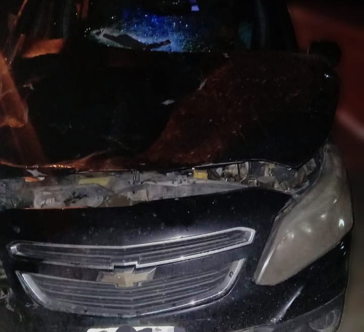 Un auto chocó contra una vaca y un menor resultó herido