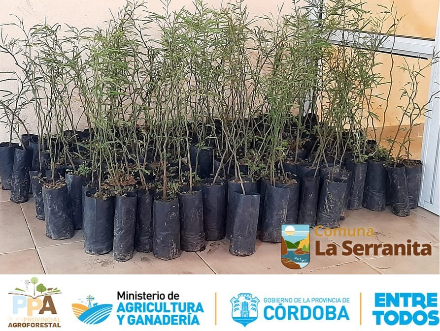 La Serranita: Primer paso para el plan de reforestación nativa