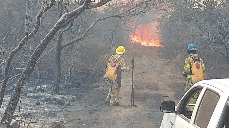 Bomberos y un avión combaten un incendio en Salsacate