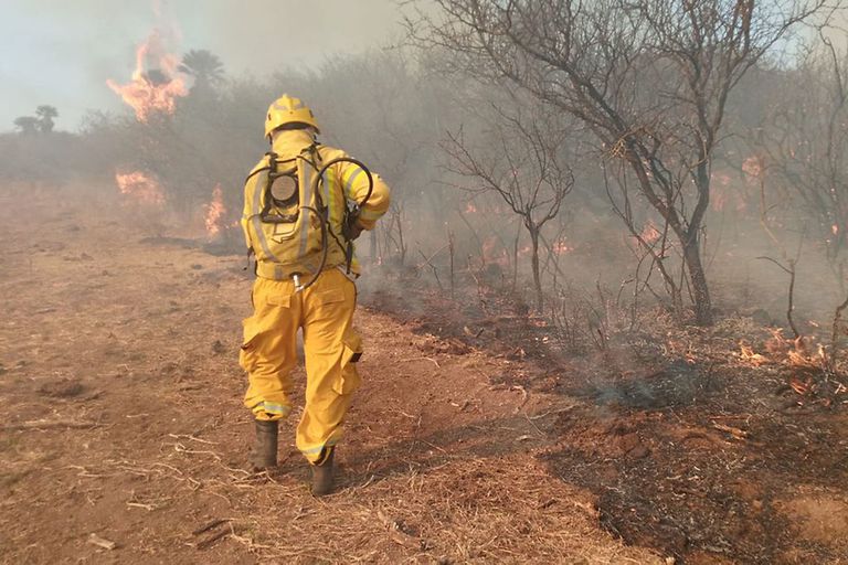 Siguen activos dos de los incendios que afectan al norte provincial