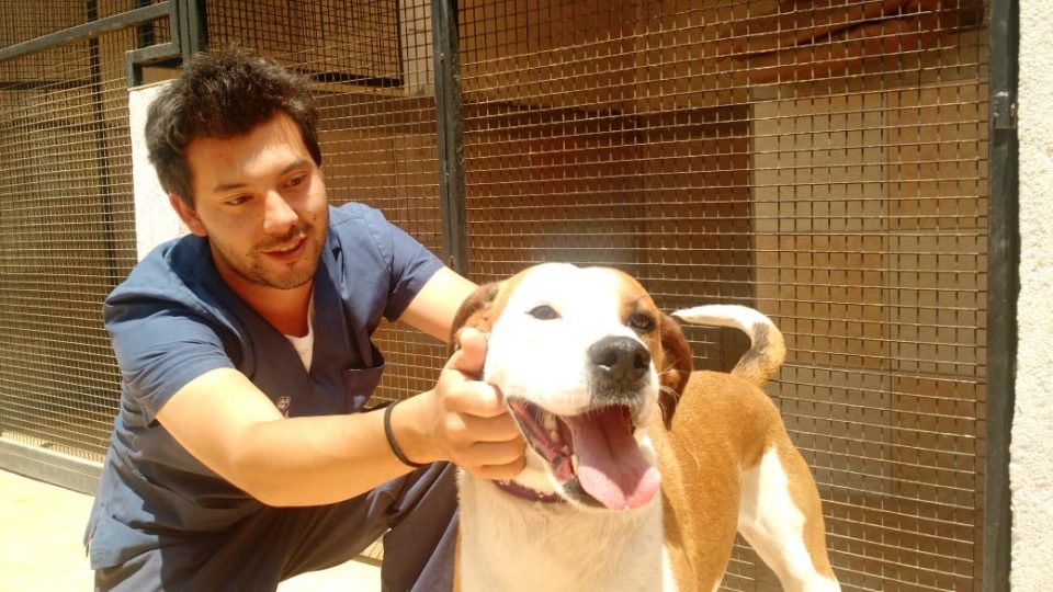 En el Día Mundial del Animal, ADMA recordó el valor de adoptar