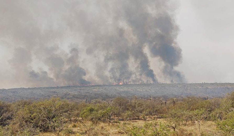 Continúa el combate del fuego en el norte y oeste provincial