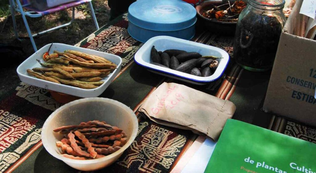 Llega el décimo "Encuentro con los Sabores del Monte y Feria de Semillas"