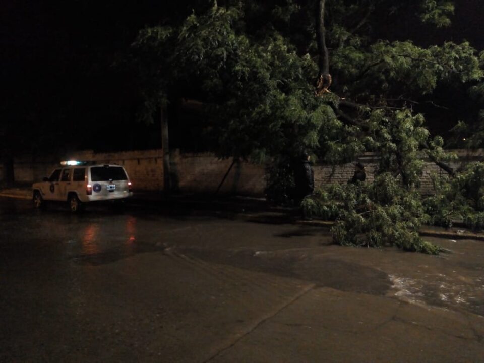Arboles y postes caídos como saldo de la tormenta de anoche en Alta Gracia