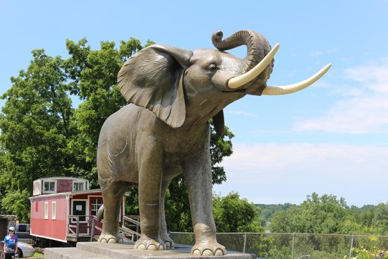 El elefante más grande del mundo