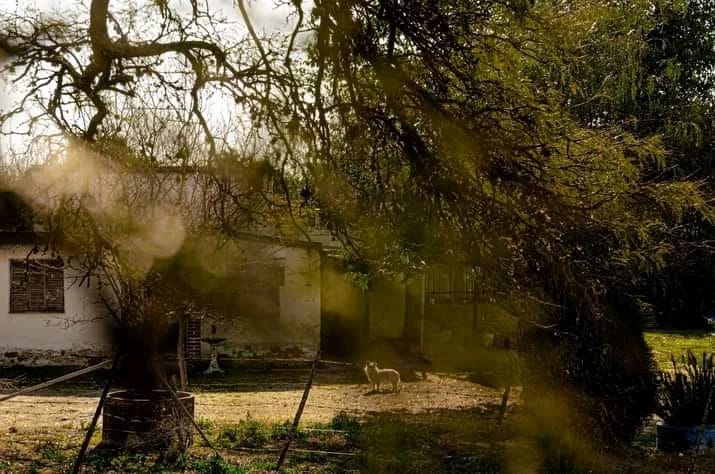 La Universidad Nacional de Córdoba financiará el proyecto local: “Soy de Anisacate, historias de mi barrio”