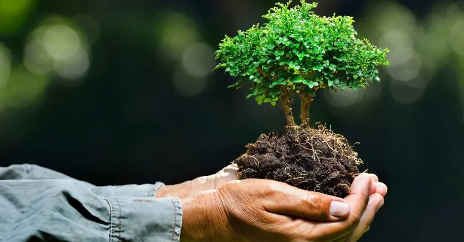 Mañana se realizará una charla de Promoción Ambiental en Anisacate