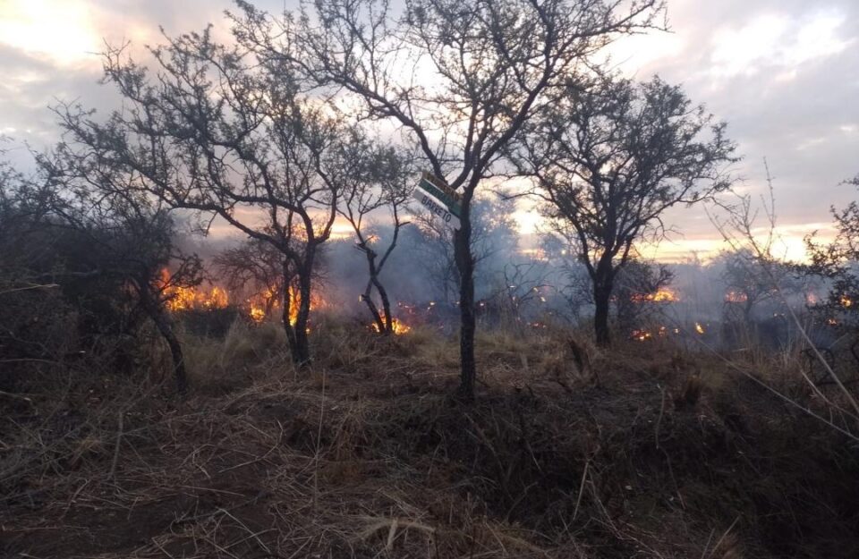 pastizales incendio