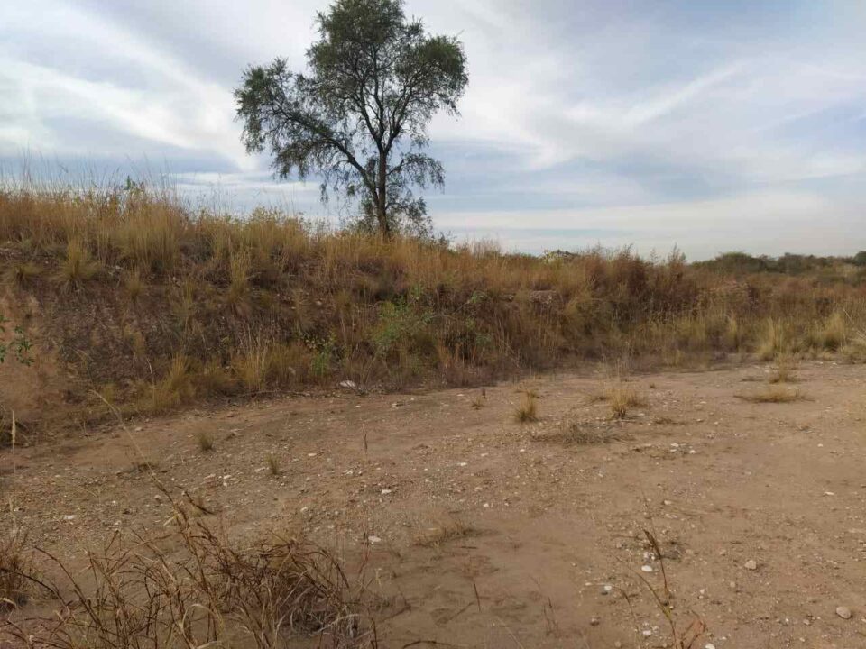 Una familia denuncia la usurpación de un terreno en Falda del Cañete