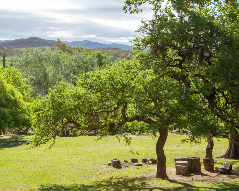 Este sábado, Alta Gracia sale a caminar: actividad gratuita y abierta