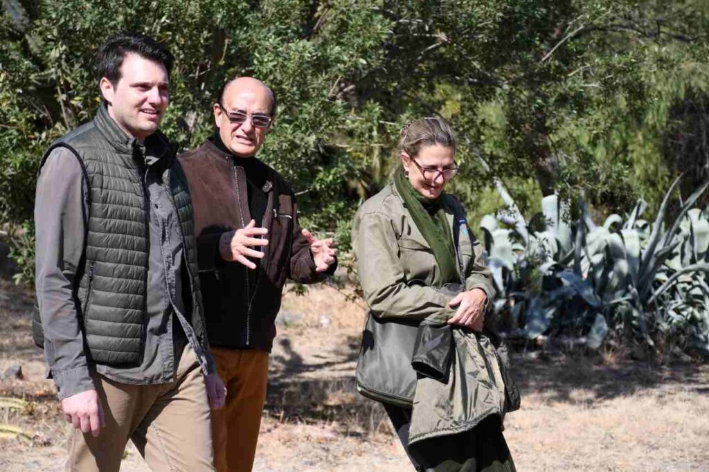 El Parque Nacional Traslasierra abrió sus puertas al turismo: qué se puede visitar