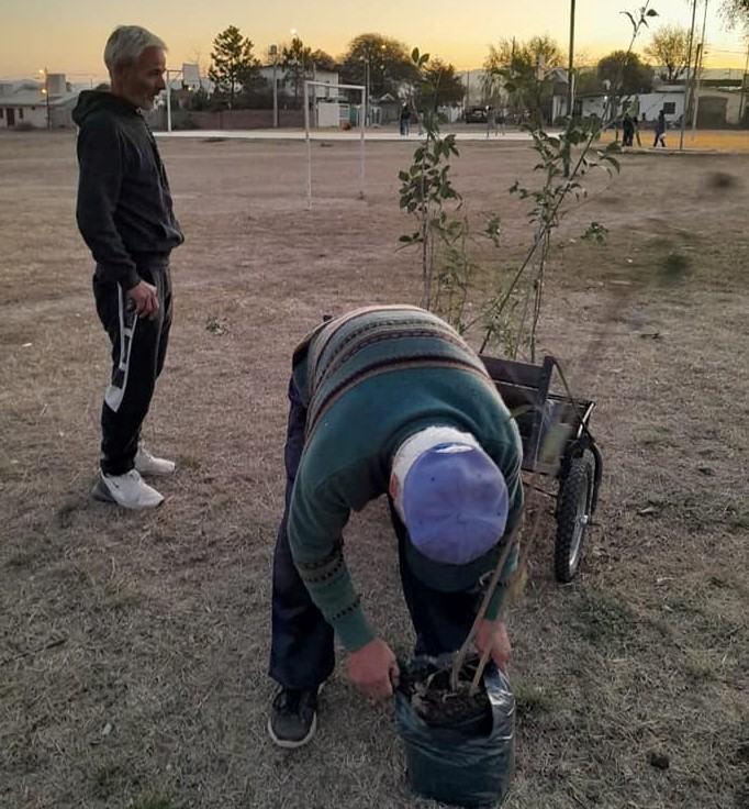 Barrio Parque San Juan comenzó a reforestar lo afectado por los incendios