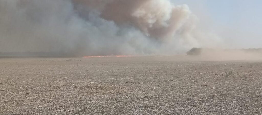 Combaten un foco de incendio en la zona de Altos Fierro