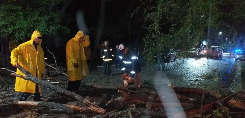 Árboles, postes y un cartel caído y techos volados: lo que el agua y el viento se llevó