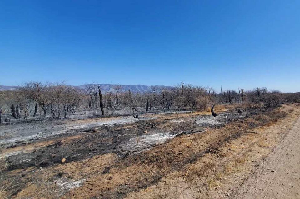Traslasierra: la lluvia trajo alivio a los bomberos para sofocar el fuego