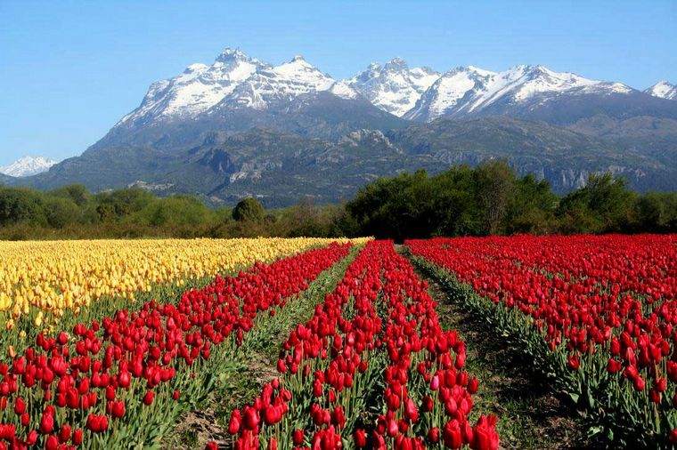 3 pueblitos argentinos compiten para ser elegidos entre los mejores del mundo