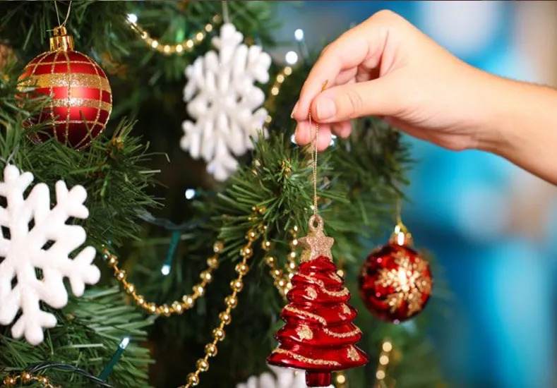 Se viene el encendido del árbol navideño en la Plaza Santa Cecilia