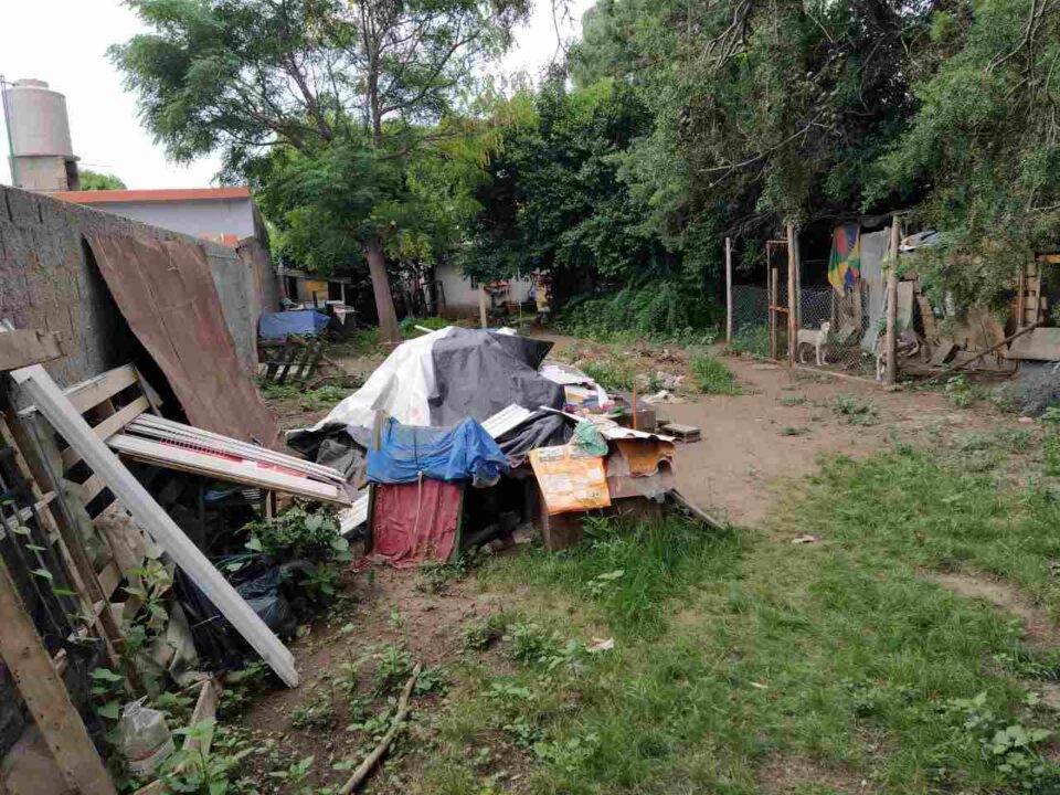 Un perro atacó a su dueña, le comió la mano y lucha por su vida