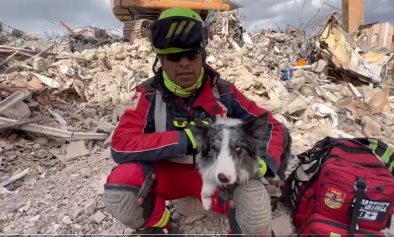 VIDEO: la historia de Balam, el perrito rescatista encontró una persona bajo los escombros en Turquía