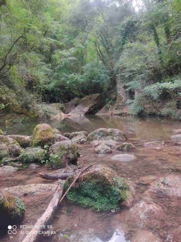 La historia de Esteban: Cinco años entre montañas, arroyos y bosques españoles