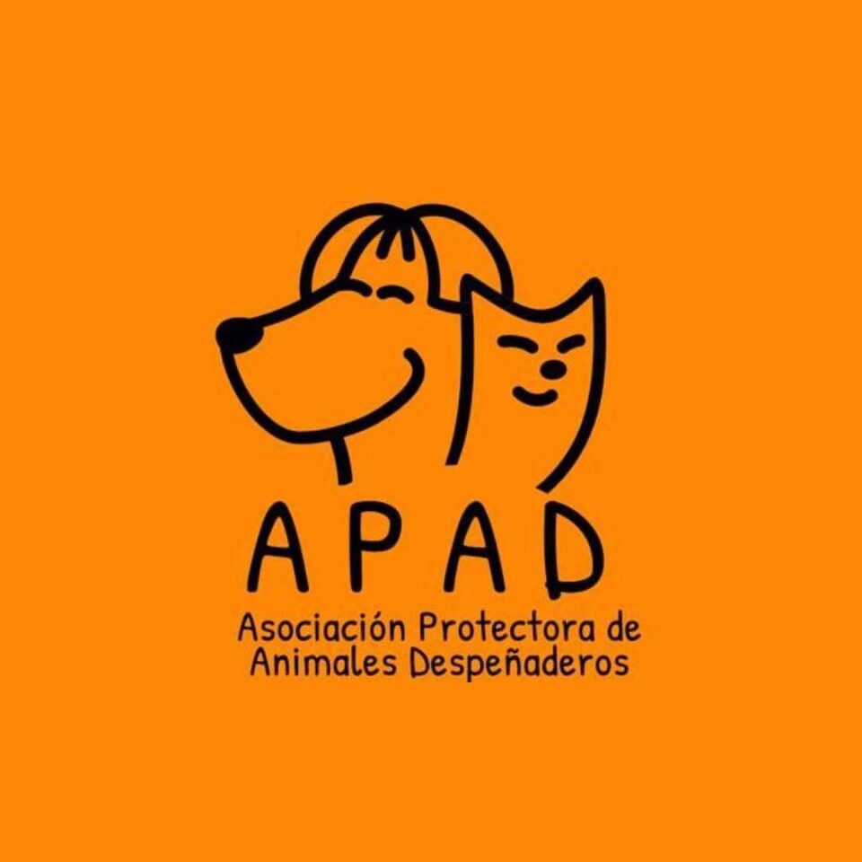 APAD Despeñaderos: denunciaron "el horror" de una mujer en "total abandono" y casi 30 animales en la misma condición