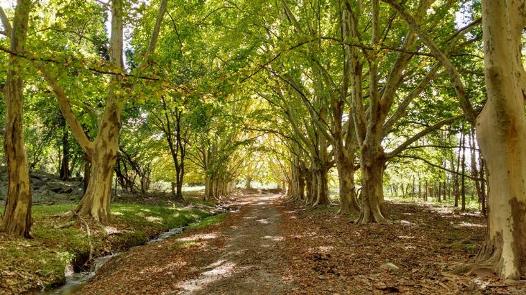Finde largo en Córdoba: 5 rincones en las sierras para ir y volver en el día