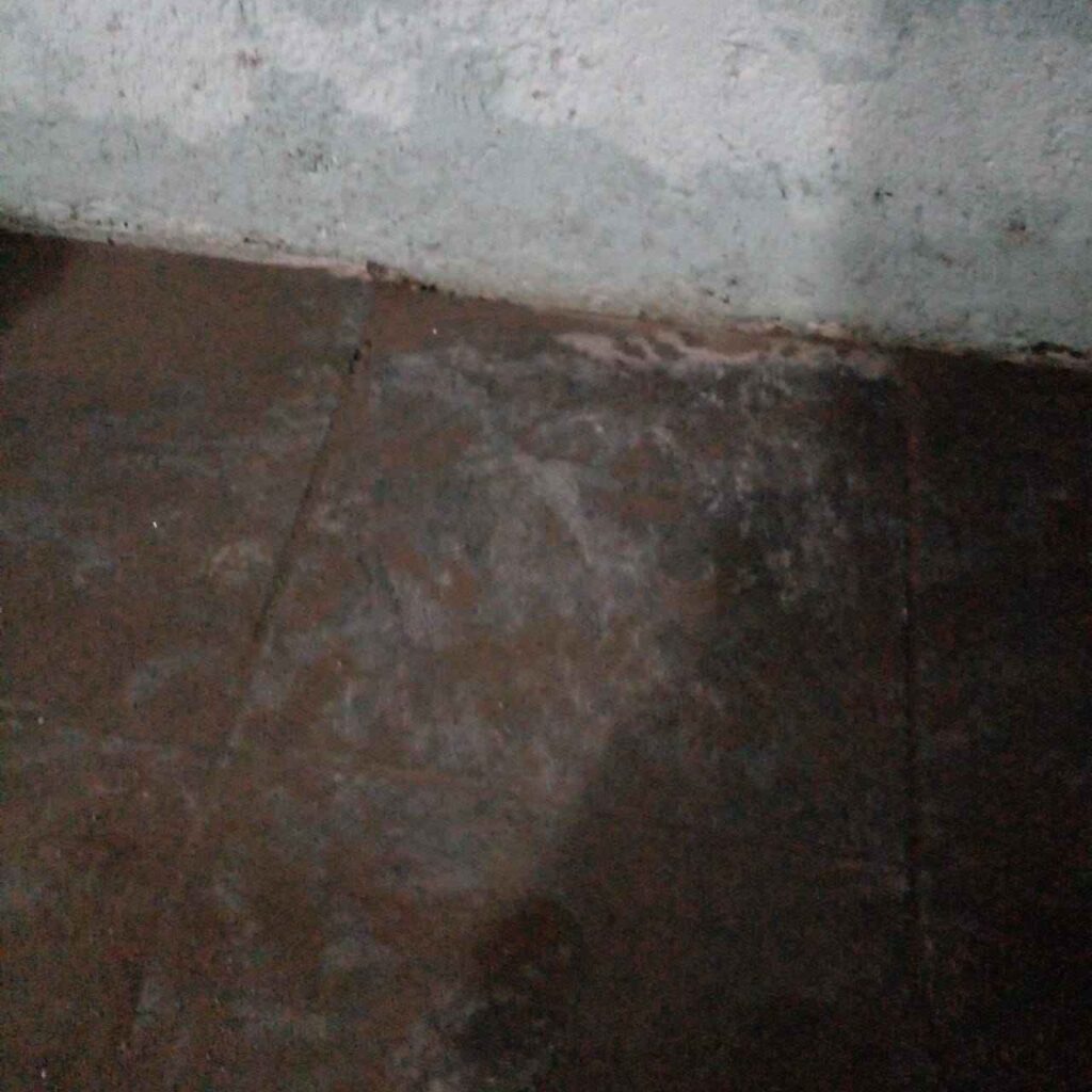 Sabattini Anexo: Se le inundó la casa y perdió todo