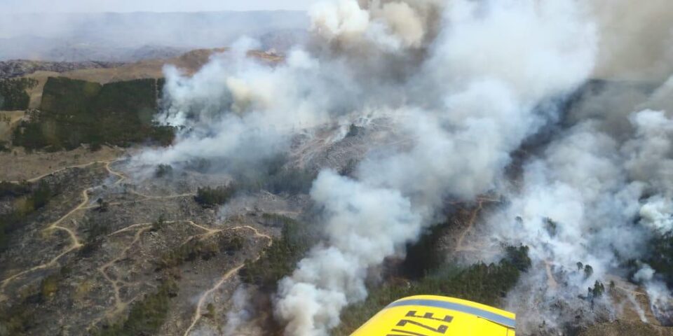 En 2022, se registraron 442 incendios forestales en la provincia de Córdoba