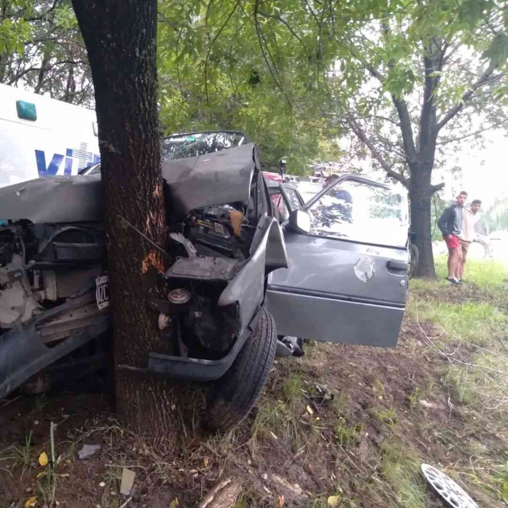 Impactante choque: se fue de lleno contra un árbol