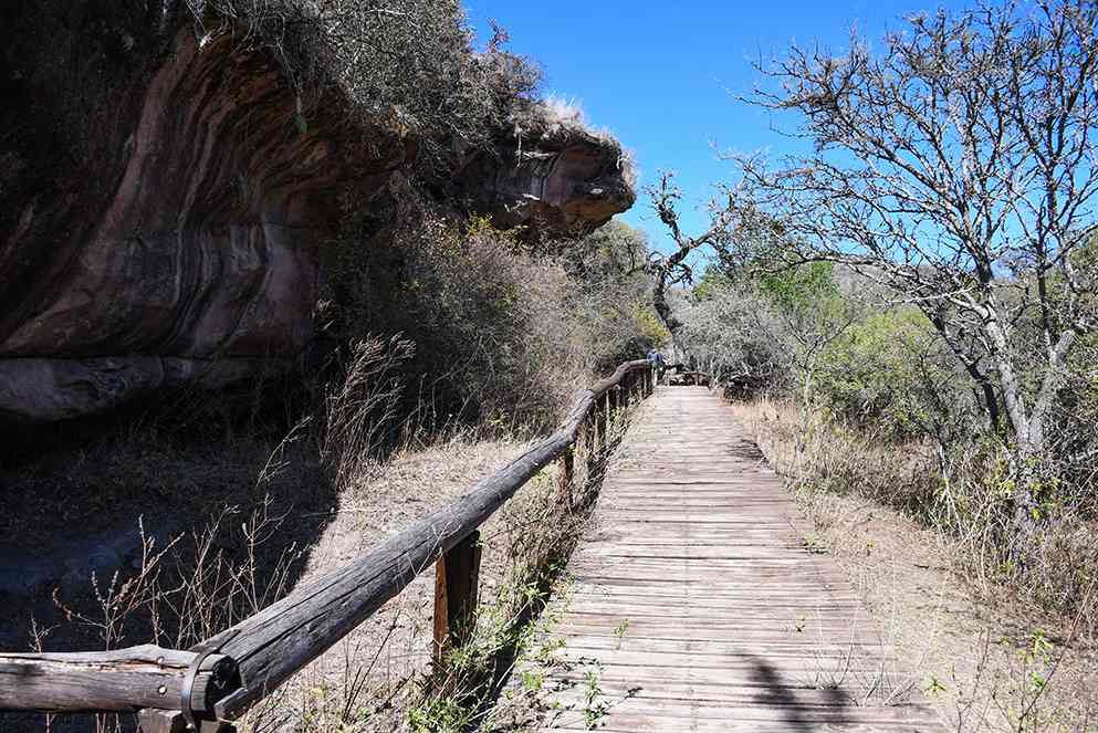 Conocer para cuidar: tres áreas naturales protegidas para visitar en Semana Santa