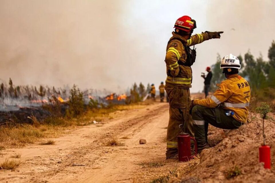 Decretan alerta ambiental por riesgos de incendios en la provincia