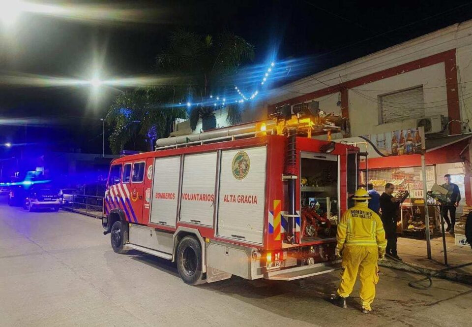 Se prendió fuego una palmera en el Boliche Catalina