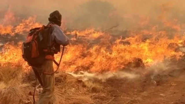 Alerta de riesgo extremo por incendios hasta el lunes en toda la provincia de Córdoba