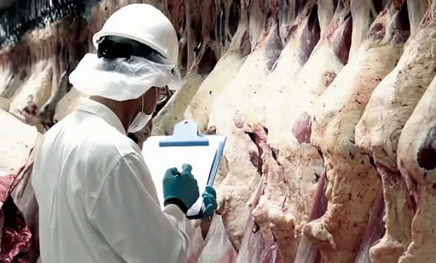 El Gobierno nacional suspendió las exportaciones de carne por 15 días